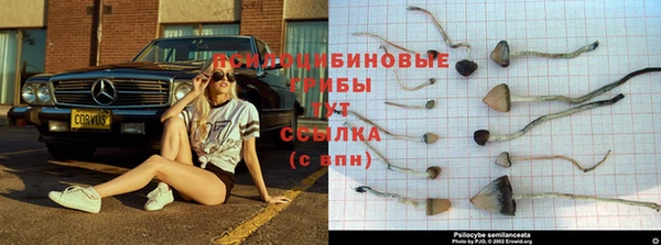 СК Балабаново