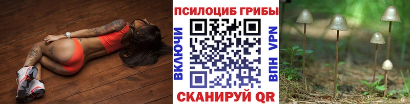 Галлюциногенные грибы прущие грибы купить Котельниково
